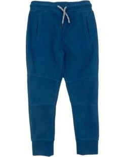 Appaman Kids Sideline Sweats (Toddler/Little Kid/Big Kid) | Pants