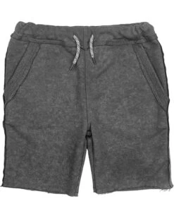 Appaman Kids Brighton Shorts (Toddler/Little Kid/Big Kid)