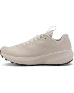 Arc'teryx Norvan LD 3 GTX | Sneakers & Athletic Shoes
