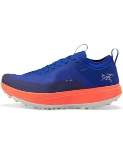Arc'teryx Sylan GTX | Sneakers & Athletic Shoes -Appaman Kids & Arc'teryx Sales 71ujKdkiH9L. AC SR736920