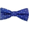 Appaman Kids Bow Tie (Little Kid) | Ties & Pocket Squares